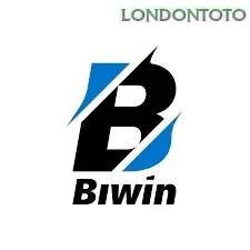 Biwin